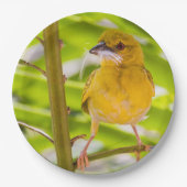 Assiettes En Carton Il est temps de construire le nid (Devant)