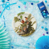 Assiettes En Carton Illustration Audubon American Robin Wildlife Bird (Fête)