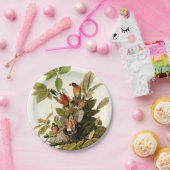 Assiettes En Carton Illustration Audubon American Robin Wildlife Bird (Fête)