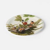 Assiettes En Carton Illustration Audubon American Robin Wildlife Bird (Angle)