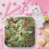 Assiettes En Carton Illustration du colibri par Ernst Haeckel (Fête)