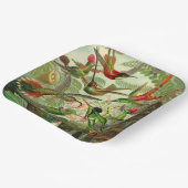 Assiettes En Carton Illustration du colibri par Ernst Haeckel (Angulaire)
