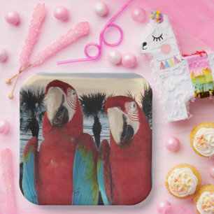 Assiettes En Carton Illustration d'une paire d'aras carminés fête trop