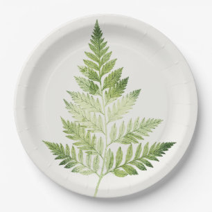 Assiettes En Carton Illustration végétale minimaliste de la fougère ve