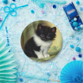 Assiettes En Carton Illustration vintage Tuxedo Kitten (Fête)