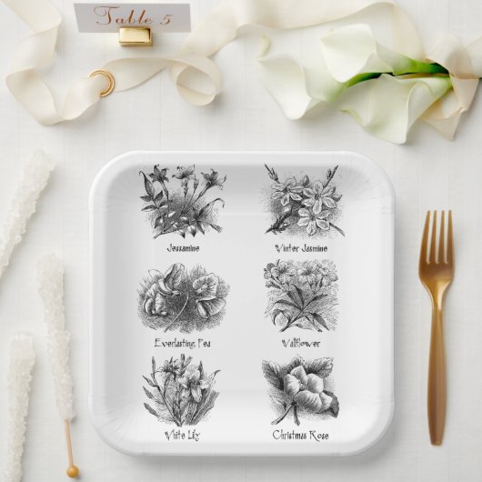 Assiettes En Carton Illustrations botaniques (Mariage)