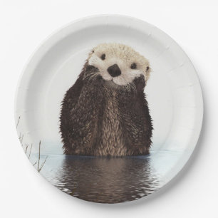 Assiettes En Carton Image de la faune de Cute Otter