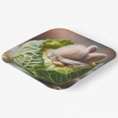 Assiettes En Carton Imaginaire mignonne lapin lapin chou (Angulaire)