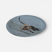 Assiettes En Carton Immature Bald Eagle plongée pour un poisson (Angle)