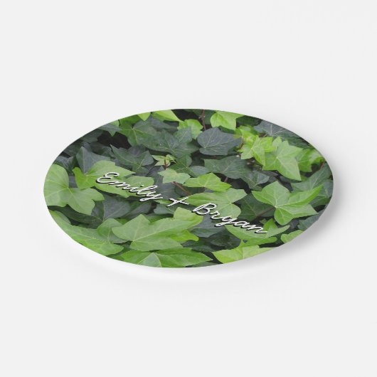 Assiettes En Carton Impression botanique verte Ivy (Angle)