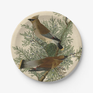 Assiettes En Carton Impression d'oiseau de John James Audubon Jaseur d