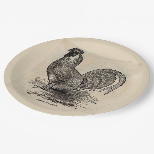 Assiettes En Carton imprimé du 19e siècle dominique fowl (Angle)