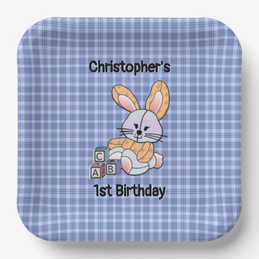 Assiettes En Carton Infirmière personnalisée Plaid Bleu - Papier lapin (Recto)