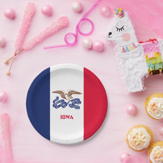 Assiettes En Carton Iowan Flag, Flag of Iowa (Fête)