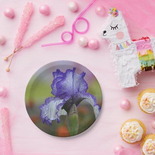 Assiettes En Carton Iris assez pourpre (Fête)