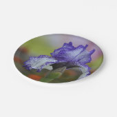 Assiettes En Carton Iris assez pourpre (Angle)