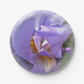 Assiettes En Carton iris pourpre (Devant)