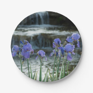 Assiettes En Carton Irises Au Château