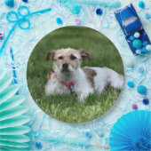 Assiettes En Carton Jack (Fête)