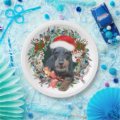 Assiettes En Carton Jagdterrier, Joyeux Noël (Fête)