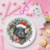 Assiettes En Carton Jagdterrier, Joyeux Noël (Fête)
