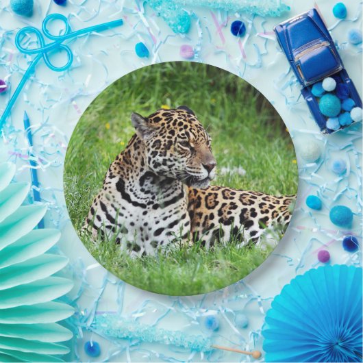 Assiettes En Carton Jaguar (Fête)