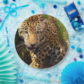 Assiettes En Carton Jaguar Adolescent (Fête)