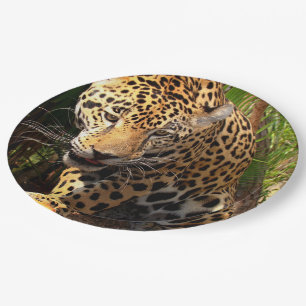 Assiettes En Carton Jaguar Adolescent