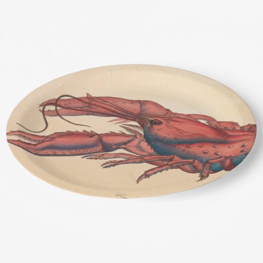 Assiettes En Carton James Sowerby Homard serbé (Angle)