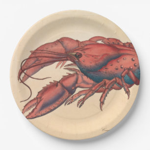 Assiettes En Carton James Sowerby Homard serbé