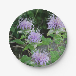 Assiettes En Carton Jardin des fleurs 3