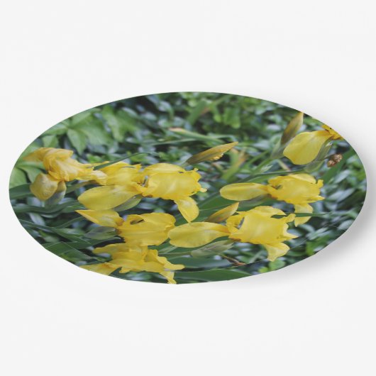 Assiettes En Carton Jardin Floral Jaune Iris (Angle)