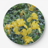 Assiettes En Carton Jardin Floral Jaune Iris (Devant)