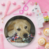 Assiettes En Carton Jaune de laboratoire LR avec jouet (Fête)