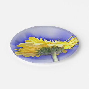 Assiettes En Carton Jaune et bleu