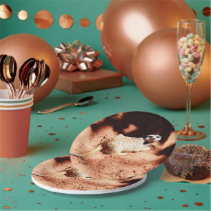 Assiettes En Carton Je Suis Meerkat You Creg, Plaques De Papier
