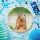 Assiettes En Carton Jeune sauterelle (Fête)