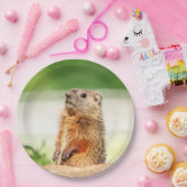 Assiettes En Carton Jeune sauterelle (Fête)