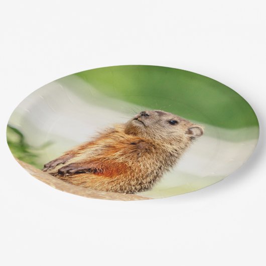 Assiettes En Carton Jeune sauterelle (Angle)