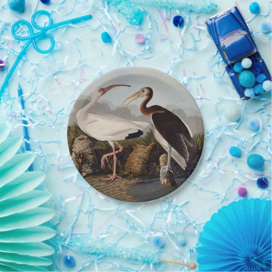 Assiettes En Carton John James Audubon White Ibis Bird Print Classic (Fête)