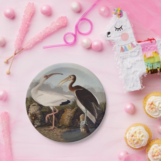Assiettes En Carton John James Audubon White Ibis Bird Print Classic (Fête)