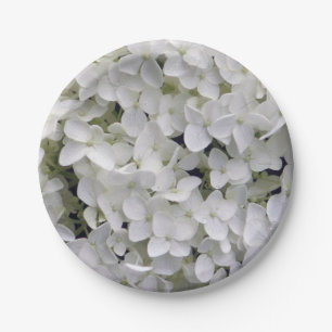 Assiettes En Carton Joli blanc Hydrangea Closeup Photo