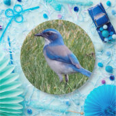 Assiettes En Carton Joli Blue Scrub Jay Bird Photo (Fête)