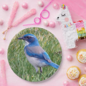 Assiettes En Carton Joli Blue Scrub Jay Bird Photo (Fête)