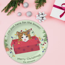 Joli Chat dans une Boîte Ici pour les Boîtes Noël