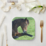 Assiettes En Carton Joli Cheval Brown allongé dans l'herbe<br><div class="desc">Plaques en papier avec une belle photo représentant un beau cheval de baie brun posé dans l'herbe,  à l'air paisible et contenu.</div>