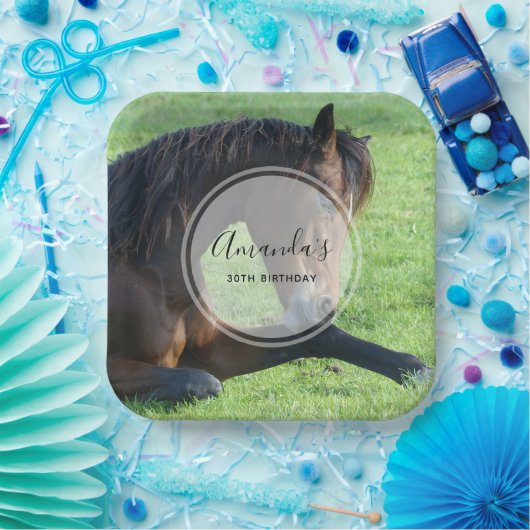 Assiettes En Carton Joli Cheval Brown allongé dans l'herbe Anniversair (Fête)