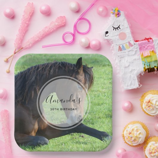 Assiettes En Carton Joli Cheval Brown allongé dans l'herbe Anniversair (Fête)