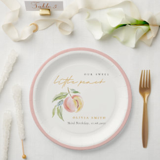 Assiettes En Carton Joli Notre Petit Anniversaire De Pêche Aquarelle