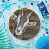 Assiettes En Carton Jolie photo de chèvre Brown et blanche (Fête)